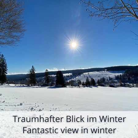 Auszeit Apartment Black Forest Schonach im Schwarzwald Luaran gambar