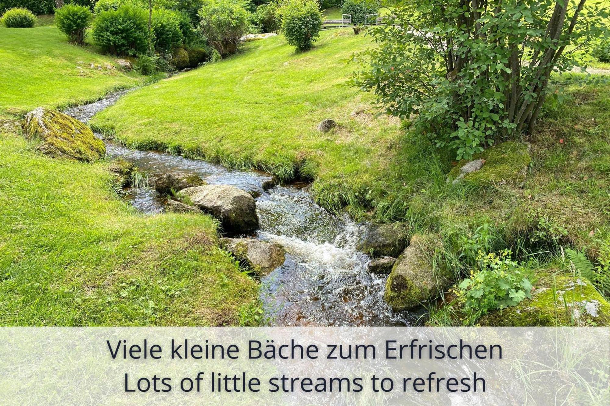 Auszeit Apartment Black Forest Schonach im Schwarzwald Luaran gambar