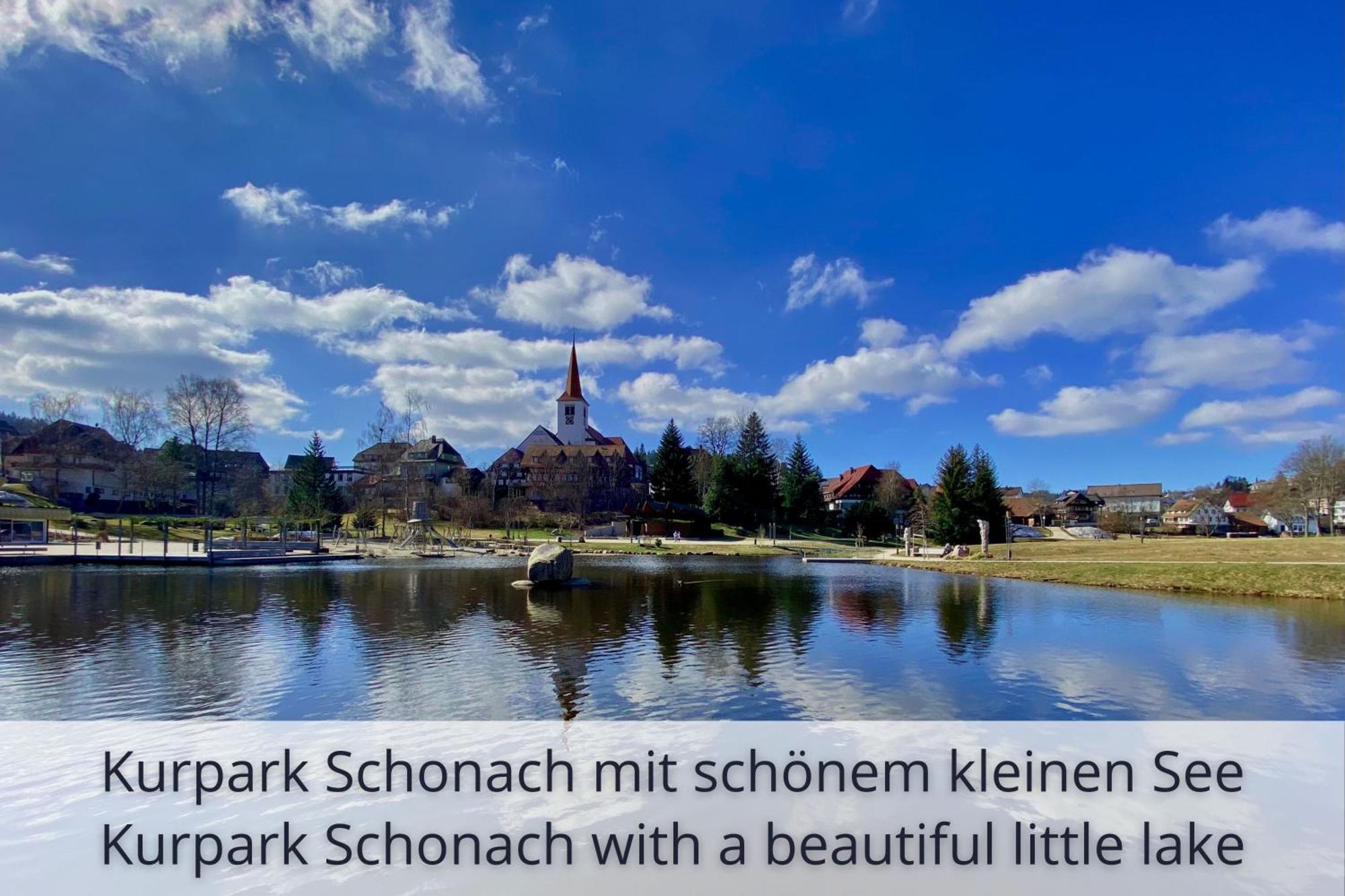 Auszeit Apartment Black Forest Schonach im Schwarzwald Luaran gambar