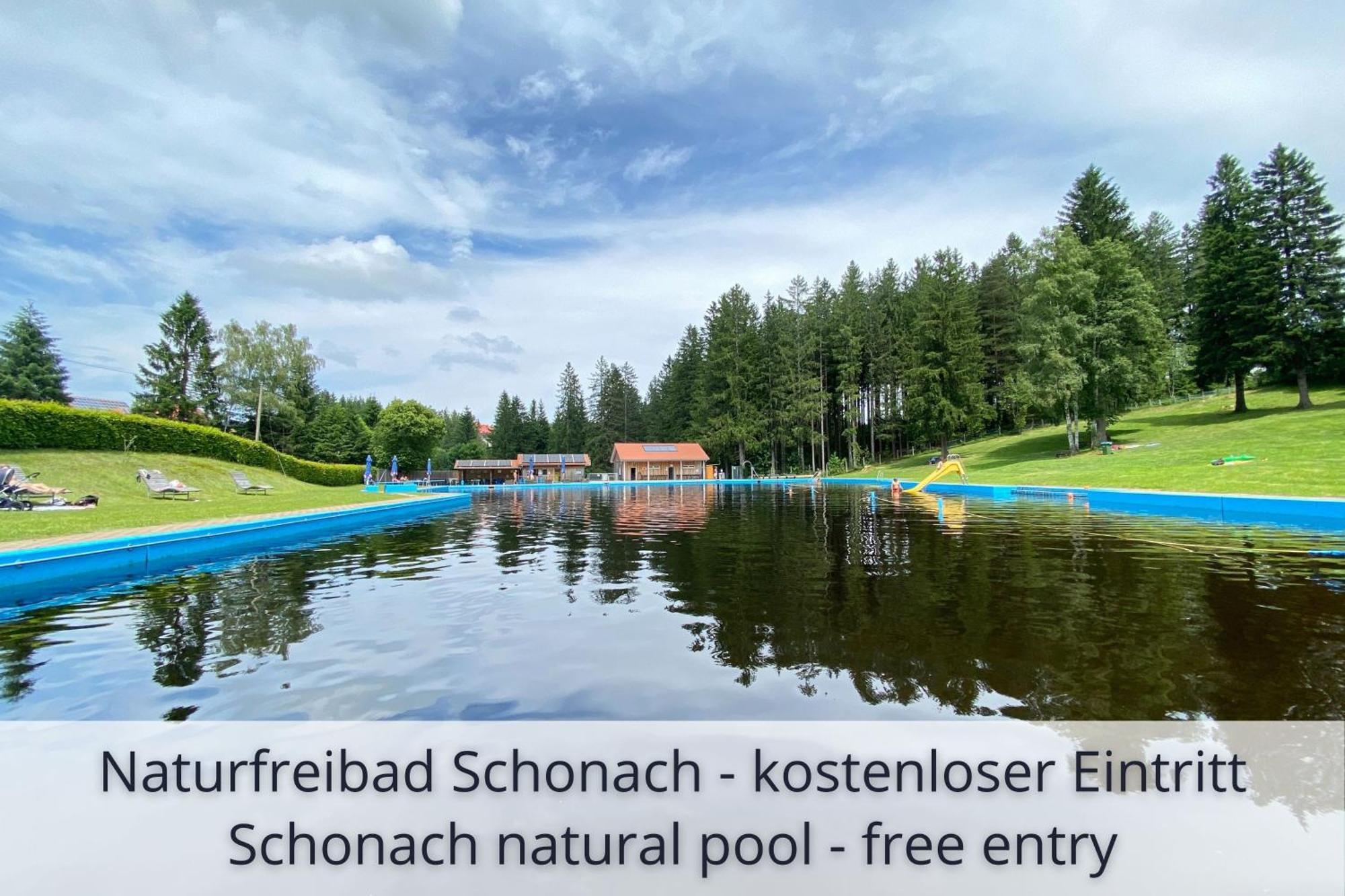 Auszeit Apartment Black Forest Schonach im Schwarzwald Luaran gambar