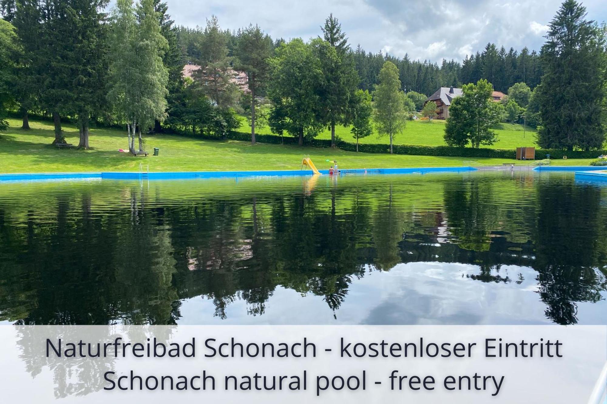 Auszeit Apartment Black Forest Schonach im Schwarzwald Luaran gambar