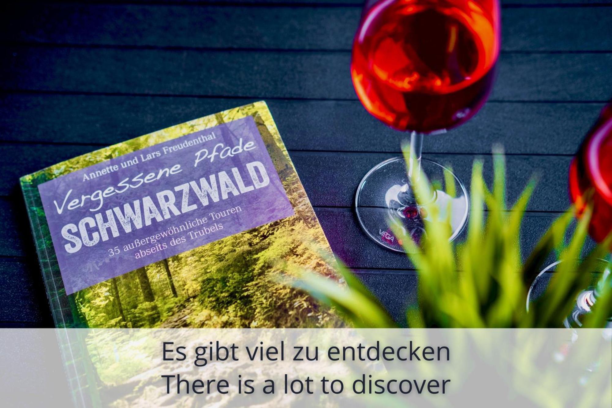 Auszeit Apartment Black Forest Schonach im Schwarzwald Luaran gambar