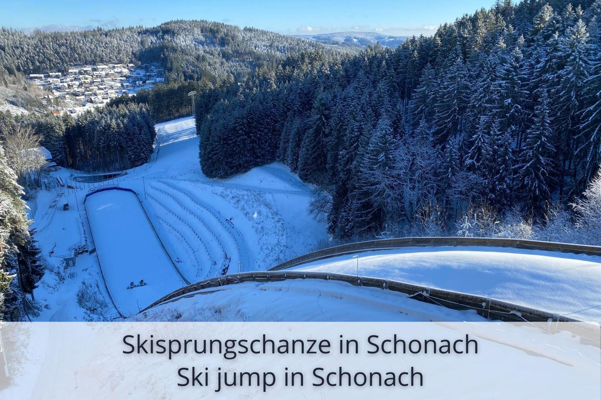 Auszeit Apartment Black Forest Schonach im Schwarzwald Luaran gambar