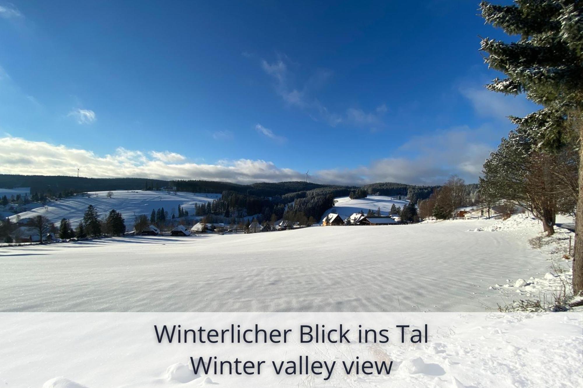 Auszeit Apartment Black Forest Schonach im Schwarzwald Luaran gambar