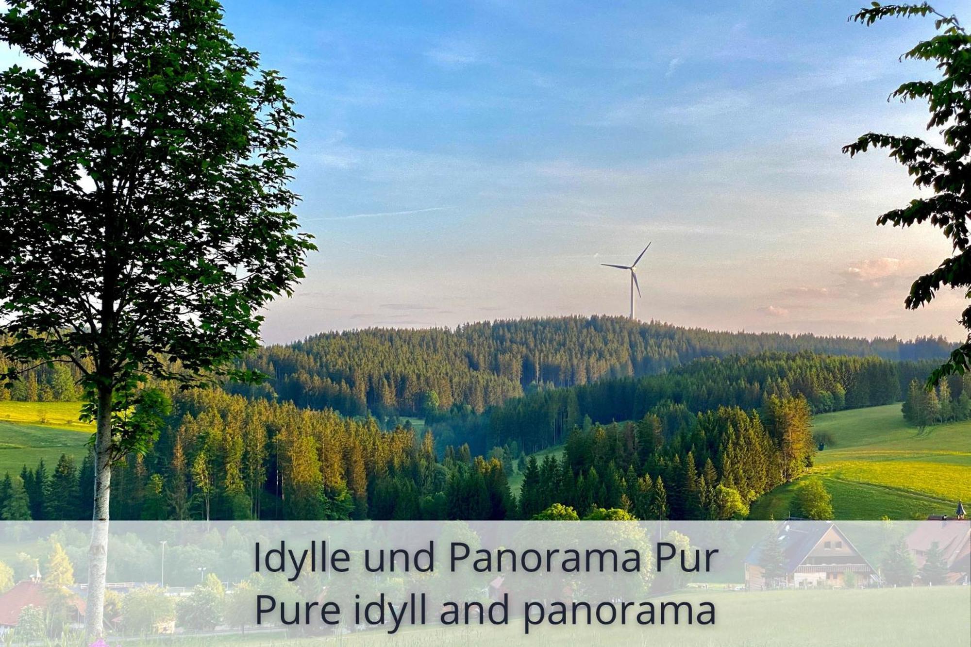 Auszeit Apartment Black Forest Schonach im Schwarzwald Luaran gambar