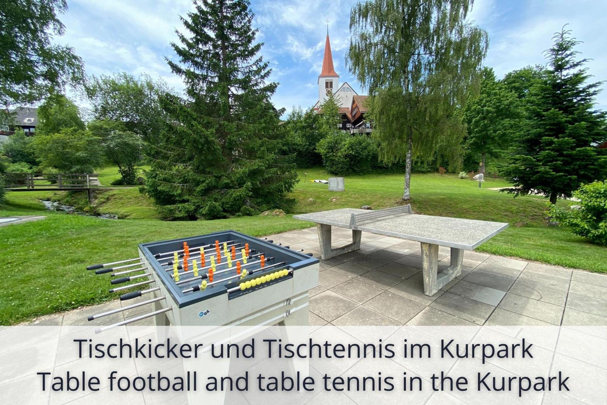Auszeit Apartment Black Forest Schonach im Schwarzwald Luaran gambar
